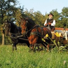 Stimmungsvolle Kutschfahrten in Franken